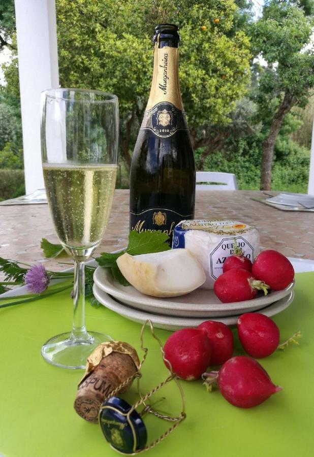 Vila Fresca Quinta Villa Arrabida מראה חיצוני תמונה